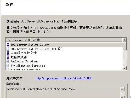 SQL2005开发版