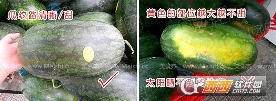 watermelon prober挑瓜神器