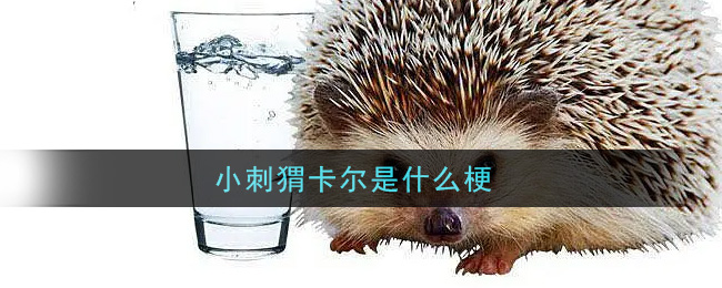 小刺猬卡尔是什么梗