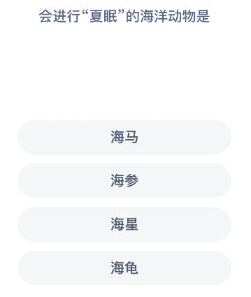 会进行夏眠的海洋动物是什么