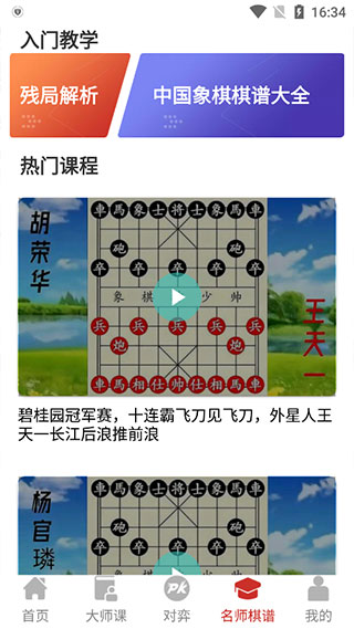 象棋大师