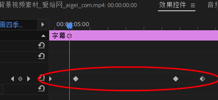 Adobe premiere pro CC2019下载 简体中文特别版