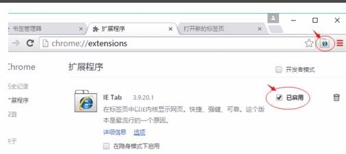 谷歌浏览器(Google Chrome)