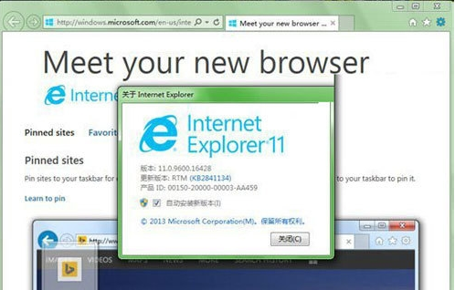 internet explorer 11