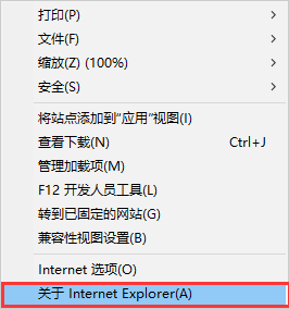 internet explorer 11