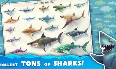 饥饿鲨世界国际服破解版(Hungry Shark)