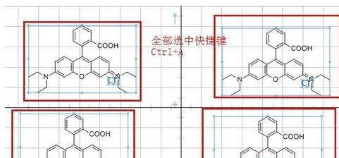  在ChemDraw中使用快捷键的详细操作步骤