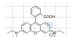  在ChemDraw中使用快捷键的详细操作步骤