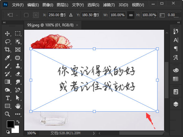 ps图片白色背景如何去掉?ps图片白色背景去掉步骤一览