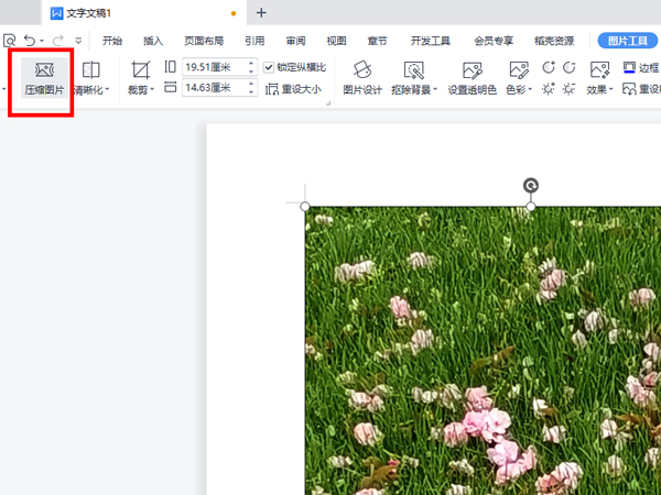 WPS怎么压缩图片?WPS压缩图片的方法