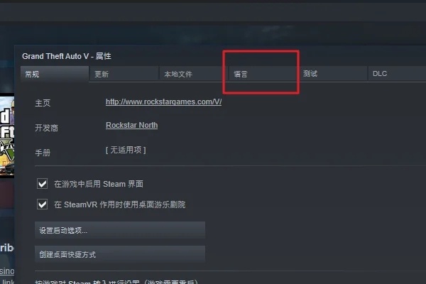 gta5游戏内设置中文语言设置在哪