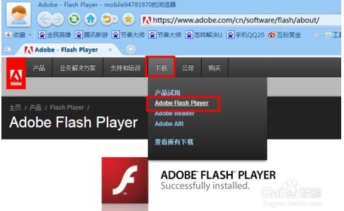 Adobe Flash Player