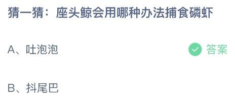 2023蚂蚁庄园4月11日答案 猜一猜座头鲸会用哪种办法捕食磷虾