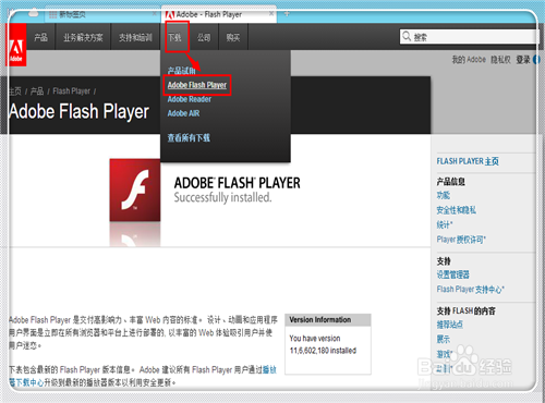 Adobe Flash Player