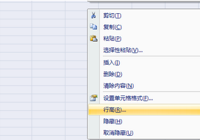 Excel 2007 正式版(WPS)