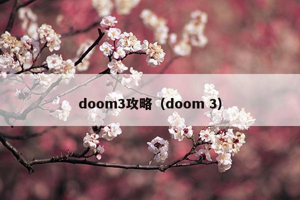 doom3攻略（doom 3）