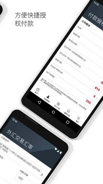 汇丰财资网HSBCnet app