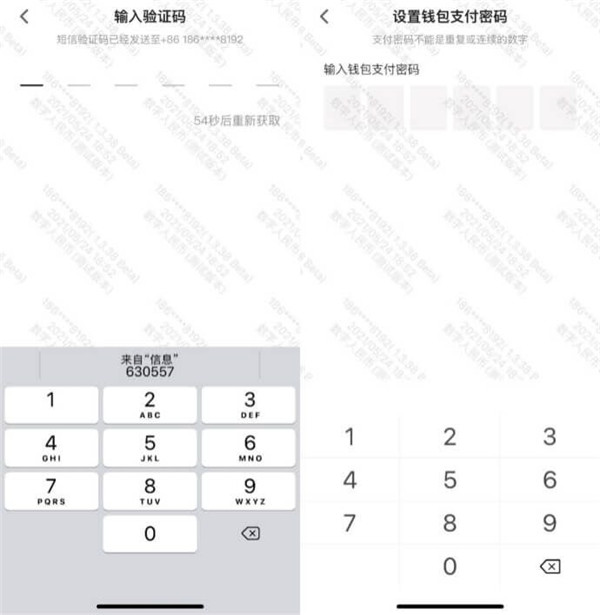 数字钱包APP V1.0.16.6安卓版