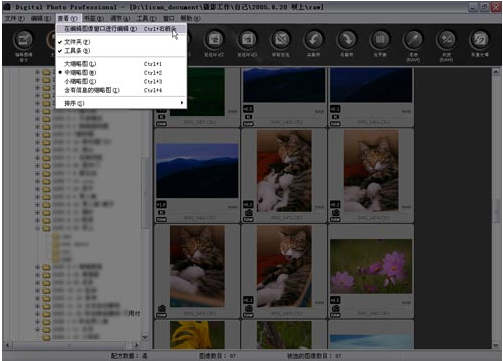 佳能dpp软件中文版 v3.9官方版