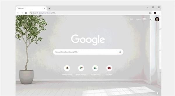 谷歌浏览器(Google Chrome) v109绿色便携版