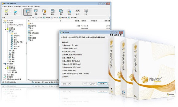 Navicat v15.0.26.3中文破解版