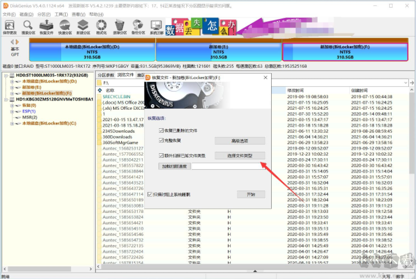 DiskGenius Pro专业绿色版 v5.4.3.1342(亲测可用)