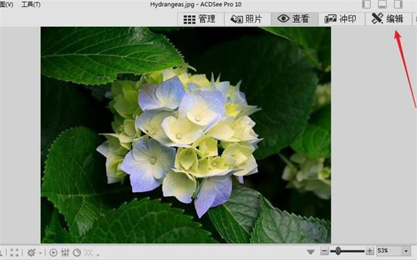 ACDSee18(含密钥) V18.0绿色破解版