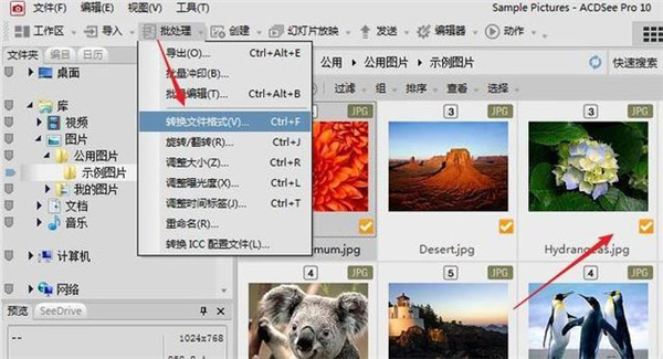 ACDSee18(含密钥) V18.0绿色破解版