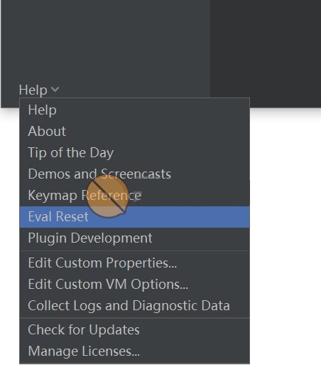 intellij idea正式版2020中文