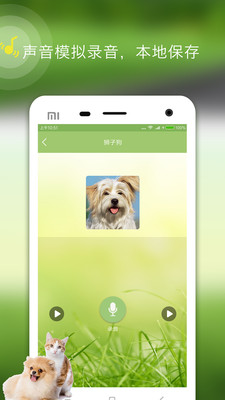 动物声音模拟器