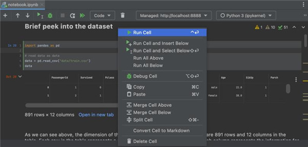 Pycharm2022破解版 v2022.3.1中文最新版