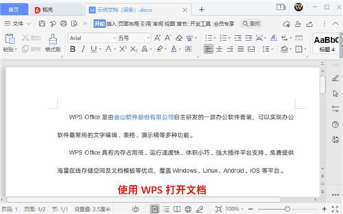 wps2021专业版 v2.51