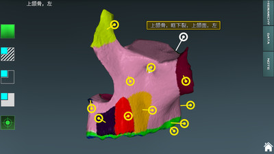 人体解剖学图集3D 安卓版