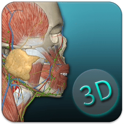 人体解剖学图集3D 安卓版