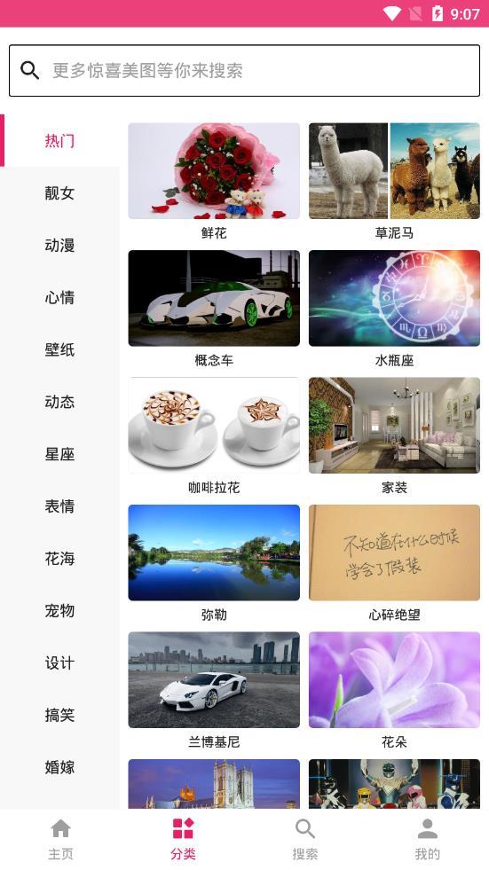 图片搜搜v9.9.9