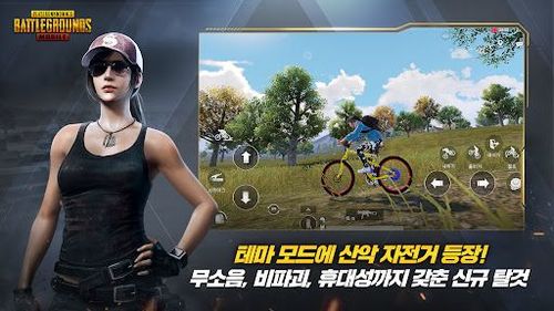 pubg日韩服下载