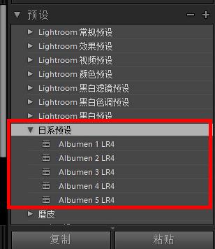 Lightroom破解版(LR)2019中文绿色版