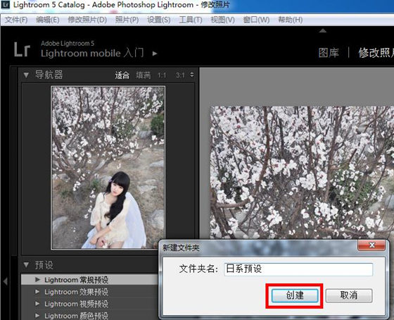 Lightroom破解版(LR)2019中文绿色版