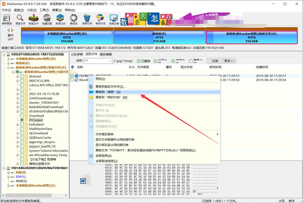 DiskGenius硬盘恢复软件免费破解下载