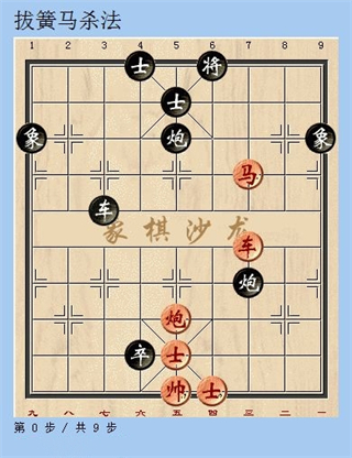 天天象棋官方正版