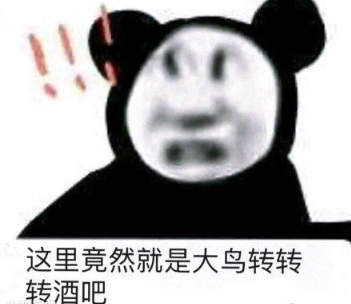 抖音大鸟转转转酒吧是什么梗