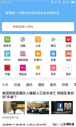 VIP浏览器tv版app