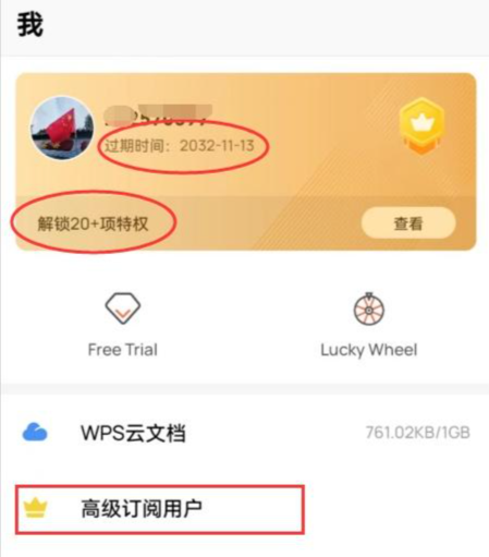 WPS Office Pro央企定制版下载