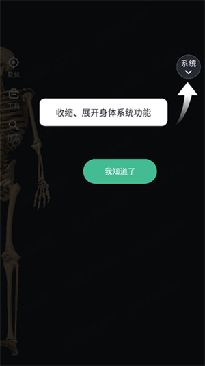 解剖大师免费版app下载