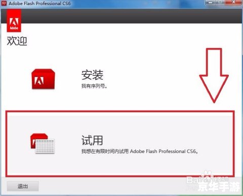 flash安装 详细步骤指南：如何安装Adobe Flash Player