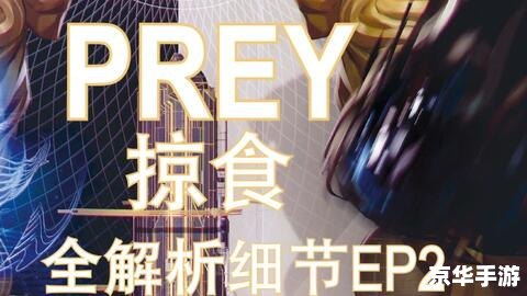 prey攻略,掠食攻略：全面解析与游戏技巧