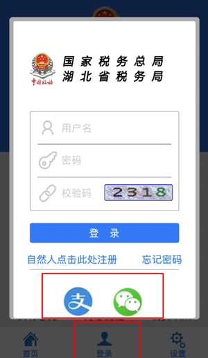 湖北税务app(楚税通)