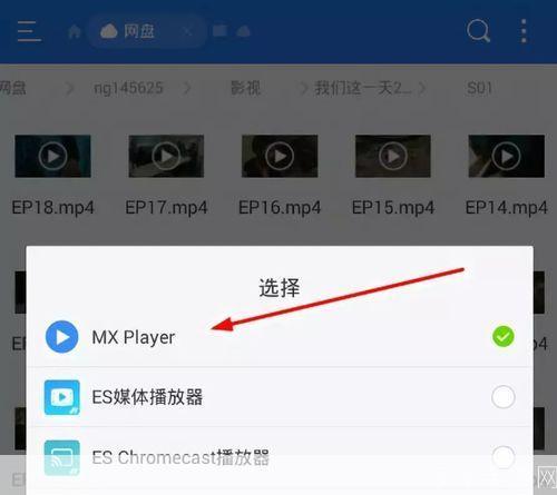 MX播放器使用指南：如何轻松播放各种格式的视频文件