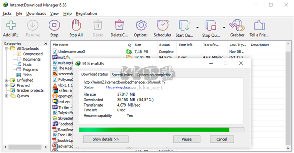 Internet Download Manager破解版 v6.41.21