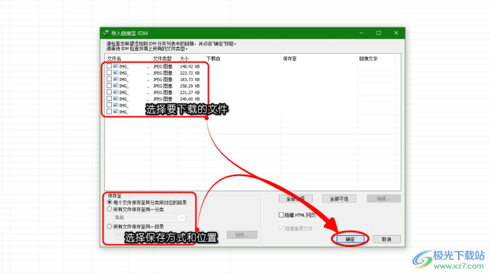 Internet Download Manager批量下载多个的方法教程